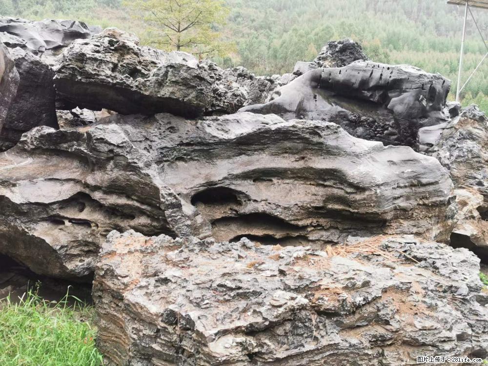 风景石、假山石大量有货，有需要的欢迎联系 - 新手上路 - 大同生活社区 - 大同28生活网 dt.28life.net