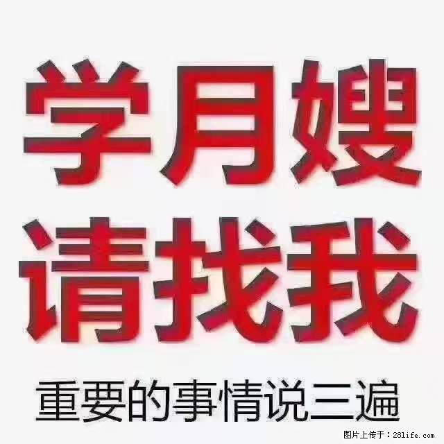 为什么要学习月嫂，育婴师？ - 新手上路 - 大同生活社区 - 大同28生活网 dt.28life.net