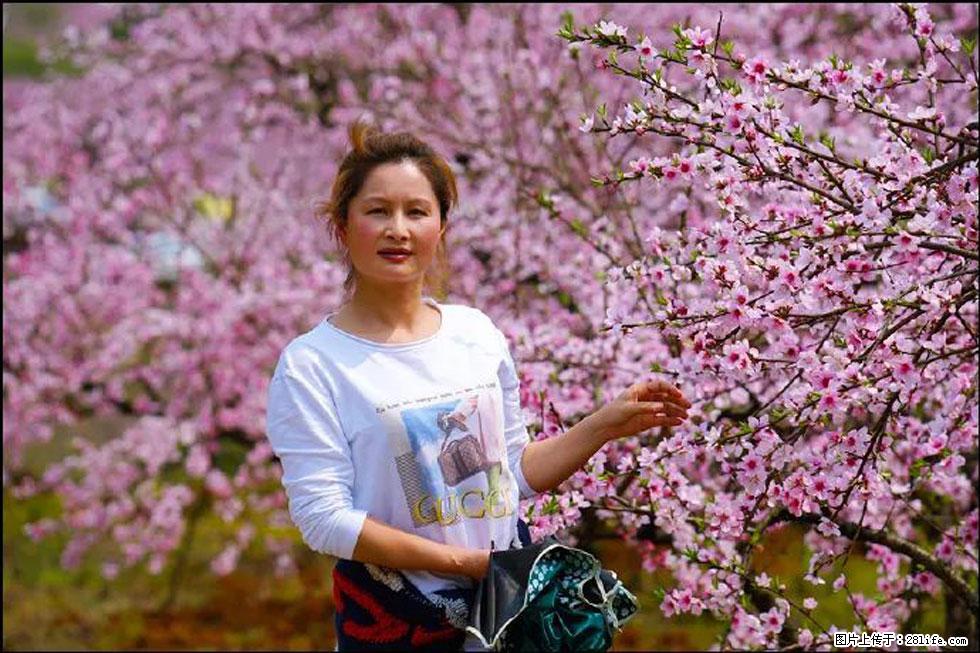 【春天，广西桂林灌阳县向您发出邀请！】官庄村有个醉美的桃花园 - 游山玩水 - 大同生活社区 - 大同28生活网 dt.28life.net