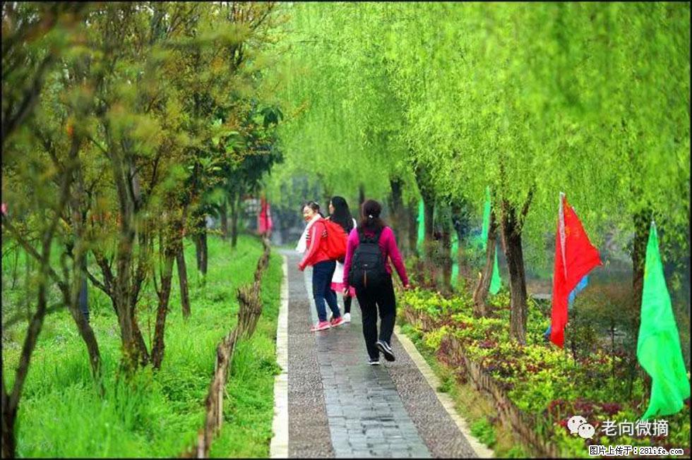 【春天，广西桂林灌阳县向您发出邀请！】江口老街又逢春 - 游山玩水 - 大同生活社区 - 大同28生活网 dt.28life.net