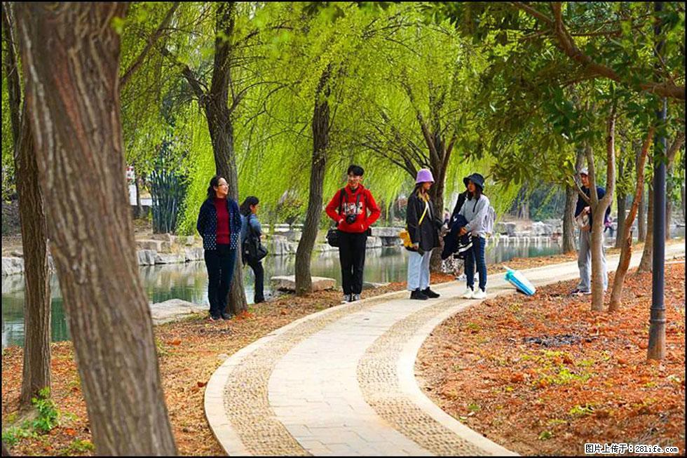 【春天，广西桂林灌阳县向您发出邀请！】江口老街又逢春 - 游山玩水 - 大同生活社区 - 大同28生活网 dt.28life.net
