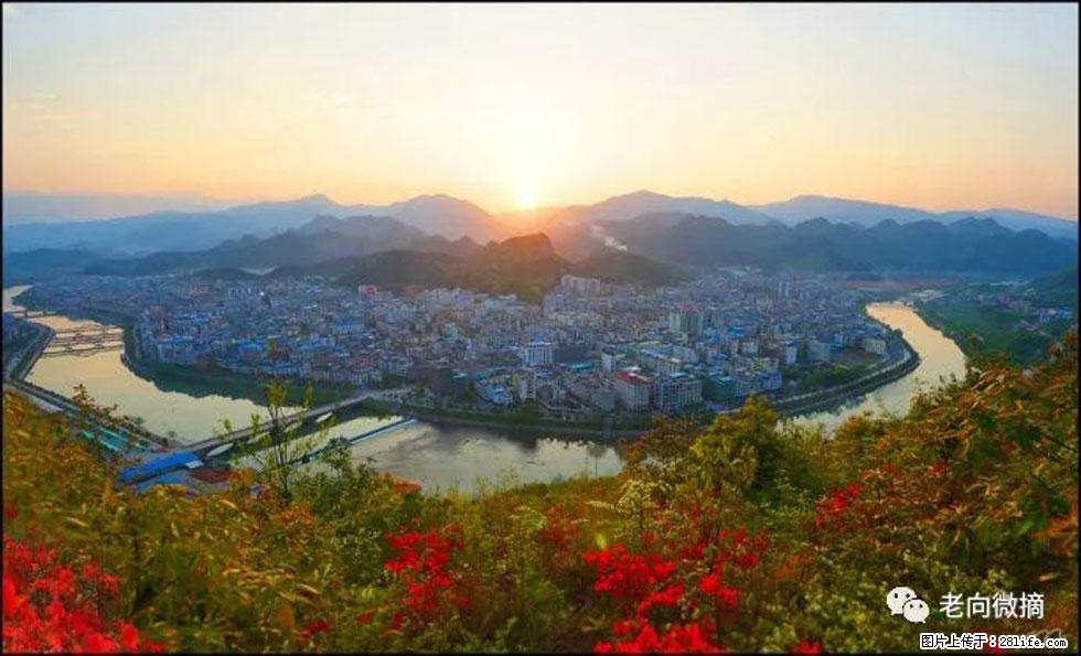 【春天，广西桂林灌阳县向您发出邀请！】登麒麟山，相约映山红 - 游山玩水 - 大同生活社区 - 大同28生活网 dt.28life.net