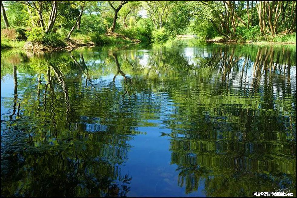 【春天，广西桂林灌阳县向您发出邀请！】熊家寨湿地公园 - 游山玩水 - 大同生活社区 - 大同28生活网 dt.28life.net