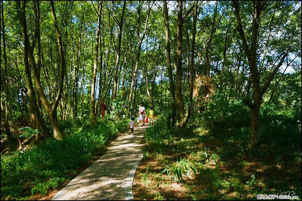 【春天，广西桂林灌阳县向您发出邀请！】熊家寨湿地公园 - 游山玩水 - 大同生活社区 - 大同28生活网 dt.28life.net