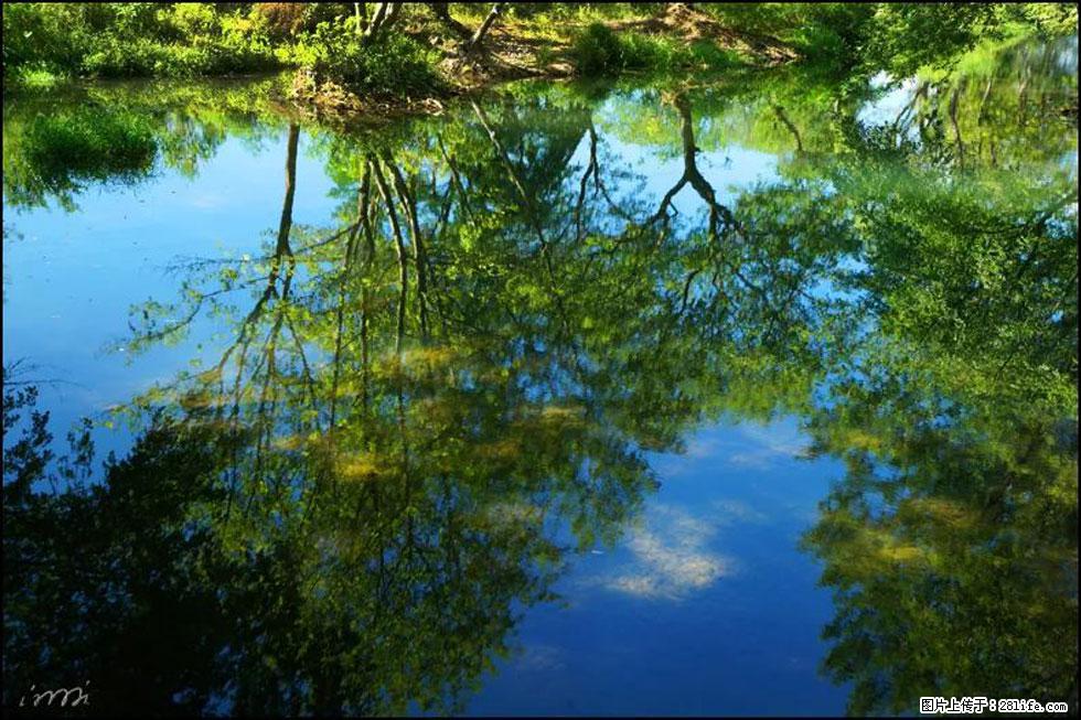 【春天，广西桂林灌阳县向您发出邀请！】熊家寨湿地公园 - 游山玩水 - 大同生活社区 - 大同28生活网 dt.28life.net