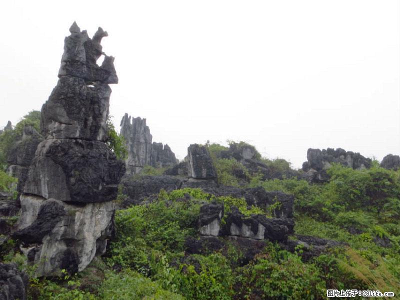 桂林旅游名城景点：灌阳文市石林 - 游山玩水 - 大同生活社区 - 大同28生活网 dt.28life.net
