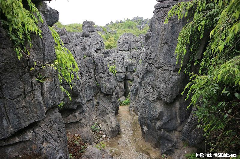 桂林旅游名城景点：灌阳文市石林 - 游山玩水 - 大同生活社区 - 大同28生活网 dt.28life.net