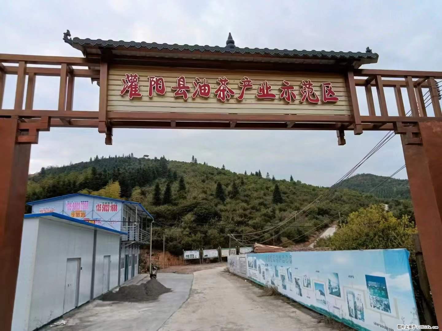 【灌阳县油茶产业示范区】一个有着充实的精神生活的人，对待身外之物自会有一种淡泊的态度 - 美食天地 - 大同生活社区 - 大同28生活网 dt.28life.net
