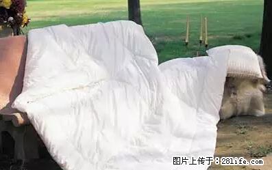 被子有异味？只要这样做，比晒太阳还强100倍！ - 家居生活 - 大同生活社区 - 大同28生活网 dt.28life.net