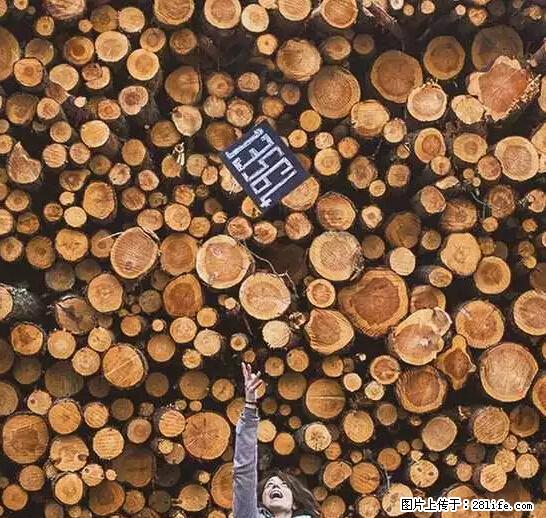 辞掉工作周游世界？现在他们在洗厕所…… - 游山玩水 - 大同生活社区 - 大同28生活网 dt.28life.net