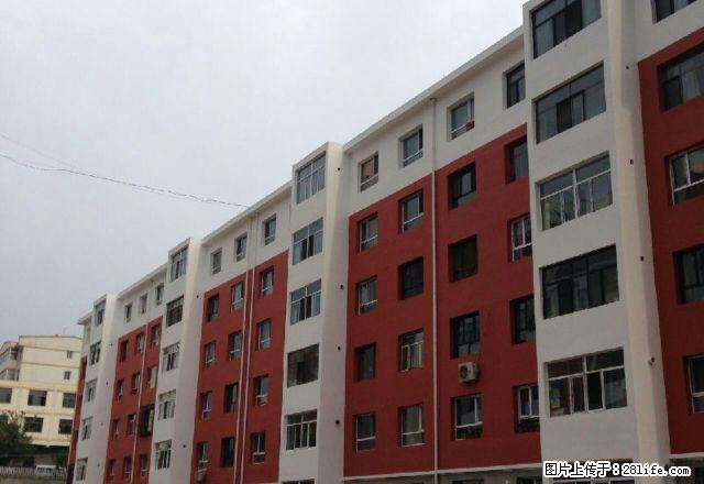 沃尔玛对面百盛附近男、女公寓2室1厅简单装修 - 房屋出租 - 房屋租售 - 大同分类信息 - 大同28生活网 dt.28life.net