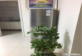 东信广场两室一厅精装修家具家电齐全拎包入住1300包费用 - 大同28生活网 dt.28life.net