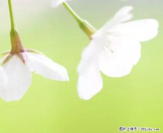 振兴街4室130平米装修1333元包费用 - 大同28生活网 dt.28life.net