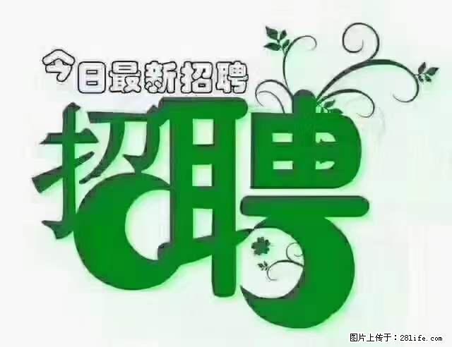 【招聘摄像师】待遇：试用期6000元/月，转正7000元/月+五险一金+餐补+节日福利+奖金 - 其他招聘信息 - 招聘求职 - 大同分类信息 - 大同28生活网 dt.28life.net