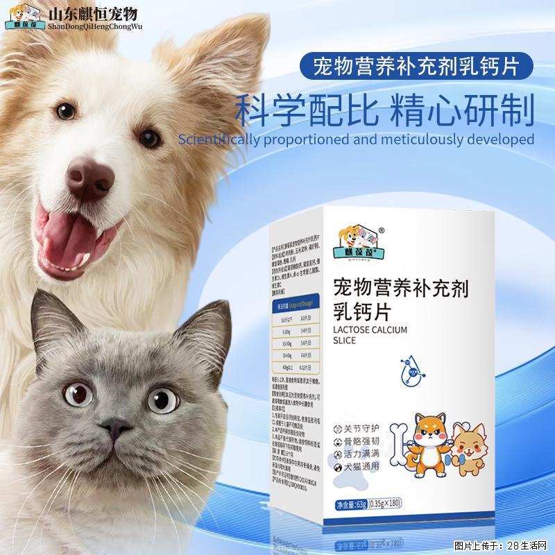 幼犬趴蹄、老狗腿僵别乱补！恒元星乳钙片，养宠家庭常年必备 - 其它 - 宠物信息 - 大同分类信息 - 大同28生活网 dt.28life.net