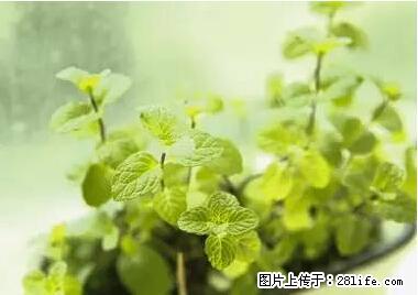 晕车、脚气、牙齿变黄、皮肤粗糙？学会这些三分钟搞定！ - 大同生活资讯 - 大同28生活网 dt.28life.net