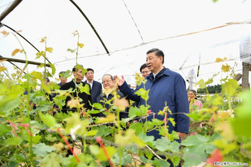 习近平赴广西考察调研 - 大同生活资讯 - 大同28生活网 dt.28life.net
