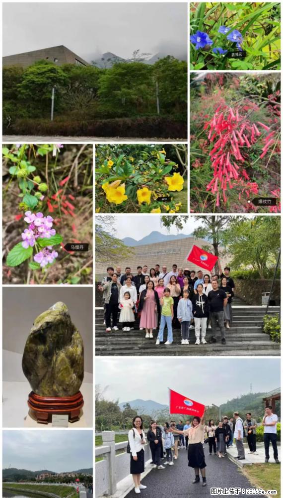 “粤灌文化 美好生活”油茶文化主题活动在广东深圳成功举办 - 大同生活资讯 - 大同28生活网 dt.28life.net