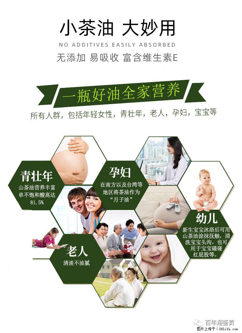 世界没有真相，只有认知，最好的食用油是中国的山茶油！ - 大同生活资讯 - 大同28生活网 dt.28life.net