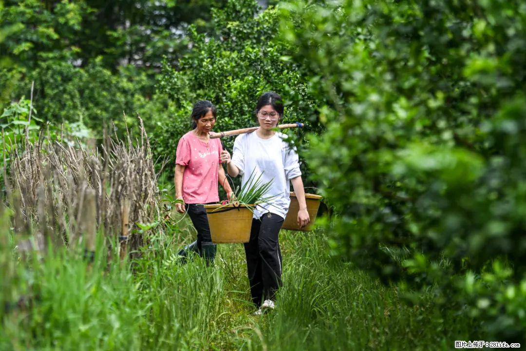 全网追的“扁担女孩”，找了一份暑假工，时薪12元 - 大同生活资讯 - 大同28生活网 dt.28life.net
