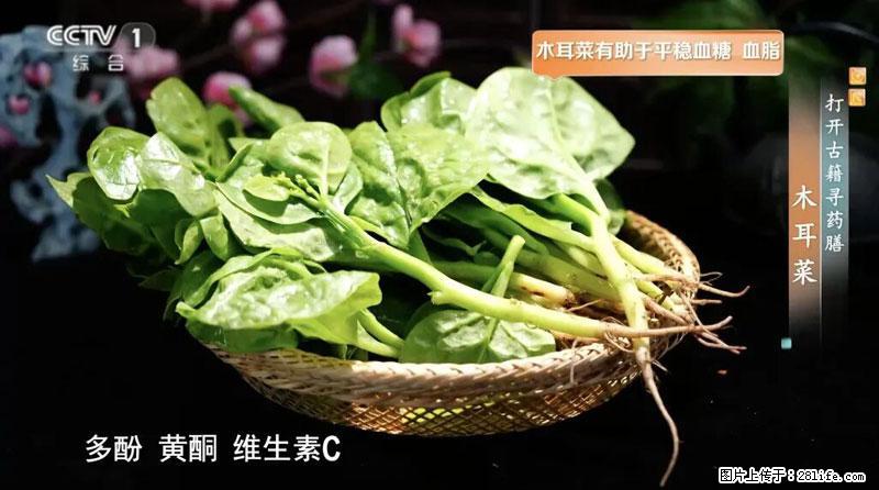 比牛奶补钙还厉害！凉血解毒、稳血糖...这菜冬天必吃，很多人却当草 - 大同生活资讯 - 大同28生活网 dt.28life.net