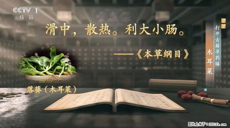 比牛奶补钙还厉害！凉血解毒、稳血糖...这菜冬天必吃，很多人却当草 - 大同生活资讯 - 大同28生活网 dt.28life.net