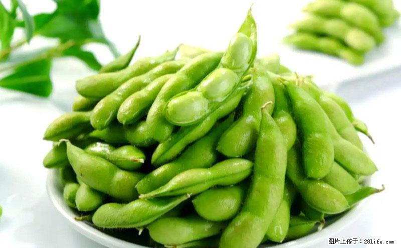 这些蔬菜是“天然钙片”，这6种被医生重点推荐 - 大同生活资讯 - 大同28生活网 dt.28life.net