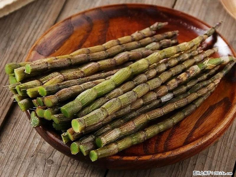 铁皮石斛的作用与功能主治 - 大同生活资讯 - 大同28生活网 dt.28life.net