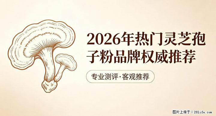 灵芝孢子粉含量越高越有效？2026 年七款热门品牌深度实测，肠胃敏感者避坑指南 - 大同生活资讯 - 大同28生活网 dt.28life.net